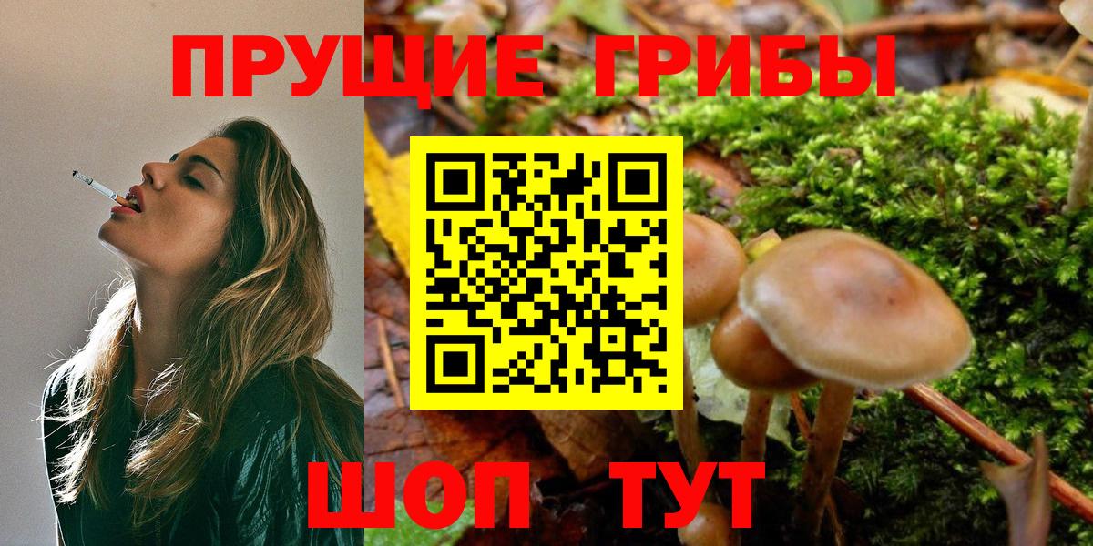 Ржев  Псилоцибиновые грибы MAGIC MUSHROOMS  Вход с VPN 